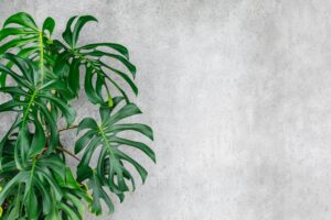 Green Concrete